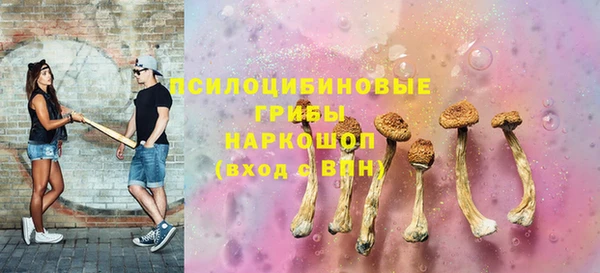 ГАЛЛЮЦИНОГЕННЫЕ ГРИБЫ Арсеньев