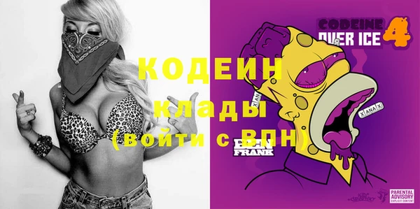 ГАЛЛЮЦИНОГЕННЫЕ ГРИБЫ Арсеньев