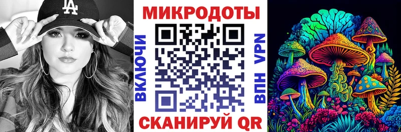 наркота  Спасск-Дальний  Псилоцибиновые грибы прущие грибы 